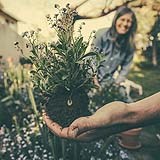 Gardening