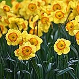 April
